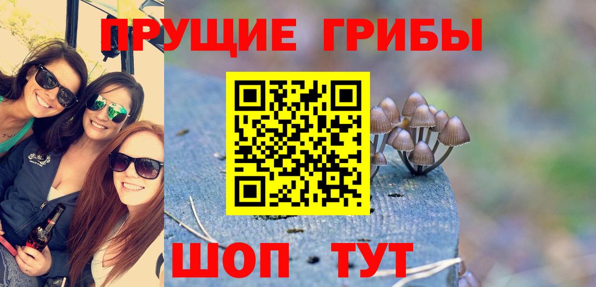Кузнецк  Галлюциногенные грибы GOLDEN TEACHER  цены   Вход с VPN 